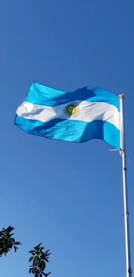 🇦🇷 The Flag of Argentina 🇦🇷  #argentinia #argentina🇦🇷  #flag #flags #flagtok #vexillology #vexillologytiktok #vexillologytok #southamerica 