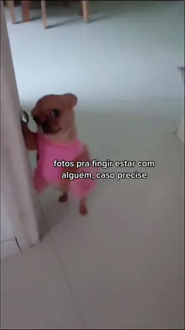 se precisarem de mais é só ir no meu insta que lá tem várias fotos dessas (insta nos comentários)