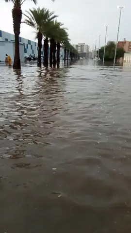 شلك السيل شلك