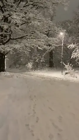#snow #nightview #snowview #night #quiet #relax #nice #white #beauty #foryou #tiktok #sceneryvideos #scenery 