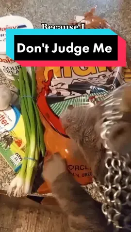 #Inverted And a song makes the work go faster 💞🥔🐭🥔💞 Happy Thanksgiving! #sirmousecot #potatoes #sillysong #cooking #singingwhilecooking #shenaningans #whimsy #happythanksgiving #thanksgiving #pokingholes 