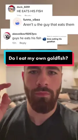 Replying to @alaskainc I would never eat my own goldfish, my goldfish already do that to themselves. #goldfish #aquarium #fish #ranchu 