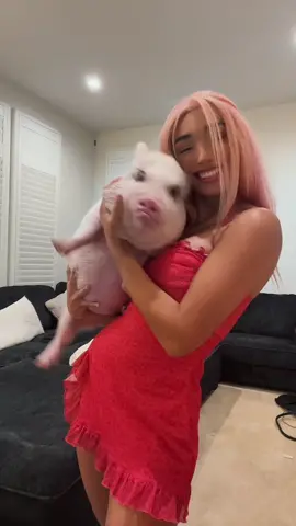 she’s getting too big for this.. 🐷
