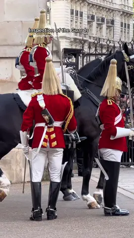 Inspection of the Guards #kingsguard #horseguardsparade #fyb #viral 