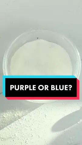 Guess the color purple or blue #fun #game #guess #foryou 