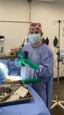 Sometimes I get to play with power tools.  This is for an ACL injury in a dog. #veterinarian #surgery #powertools 