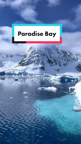 Just breathe. Welcome to Paradise Bay, Antarctica. #travel #quityourjob #peace #calm #ocean #paradise #antarctica #nature #explore #traveltiktok #fyp #foryou 