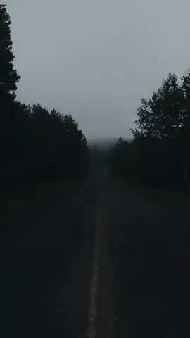 this song sounds like being cozy on a rainy day #rainy #darkaesthetic #dark #mood #vibe 