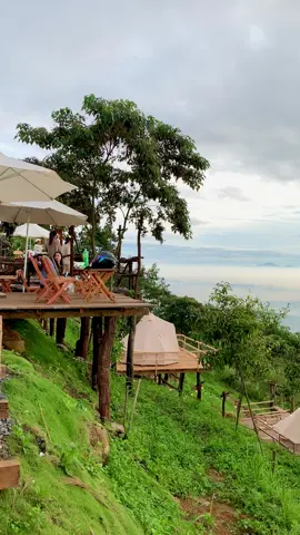 Một quán caffe & camping săn mây cực Chill tại Bảo Lộc . #Baoloc #49 #lamdong #sanmay #reviewbaoloc #batdongsan #batdongsannghiduong 