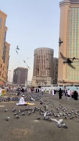 جمالهه🥺🤍.#مكه_المكرمه #الكعبه_المشرفه🕋 #الحرم_المكي #مكه 