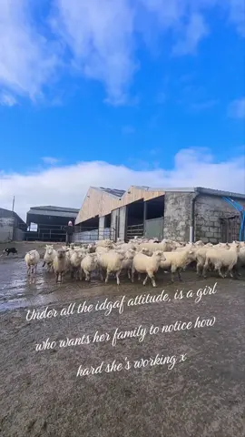 Where's my people at? #sheep #ukfarming #farm #emotionaldamage #family #relatable 