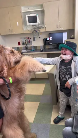 And for that moment, Leo didn’t really care about much else other than hugging his giant fluffy friend, Brodie. 🐻❤️ #childrenshospital #goldendoodle #therapydog #spreadhappiness #reaction 