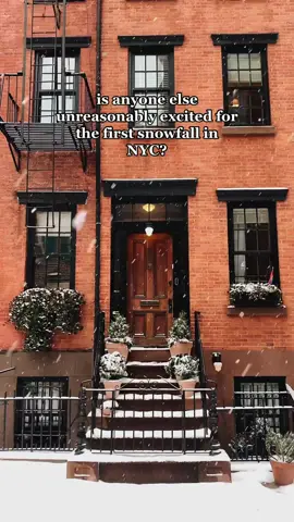getting so excited for this. 🌨️ #nyc #newyorkcity #snowfall #snowglobe #wintervibes 