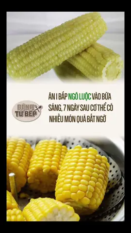 Ngô nên được ăn vào buổi sáng bởi vì lúc này dạ dày của con người vẫn chưa thực sự hoạt động mạnh, nồng độ axit trong dạ dày tương đối cao. #LearnOnTikTok #BenhTuBep #SongKhoe247 #aFamilyNews #tiktoknews #tiktokmentors #amm #ssst