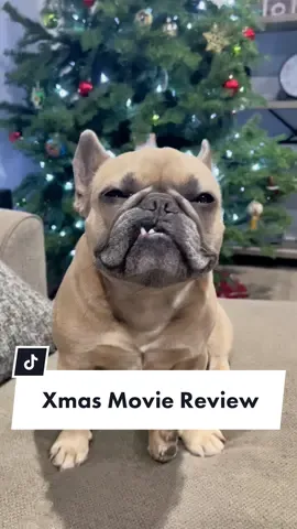 He’s a pretty reputable critic #dogdad #christmasmovies #happyholidays #moviereview #homealone #christmas #frenchiesoftiktok #thesantaclause #dogsoftiktok #jasonbankscomedy cred @jasonbankscomedy @somefrenchienamedapollo @somefrenchienamedapollo 