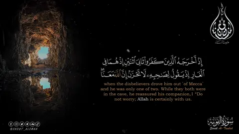 ثَانِيَ اثْنَيْنِ إِذْ هُمَا فِي الْغَارِ #الشيخ_المنشاوي_صوت_السماء #الشيخ_محمد_صديق_المنشاوى #الشيخ_المنشاوي #المنشاوي #اذاعة_القرأن_الكريم #quran 