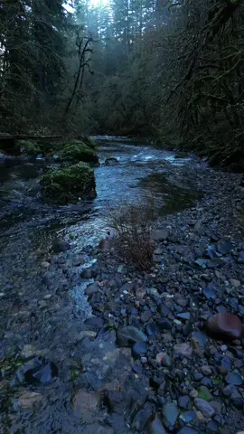 Moody winter river vibes 🙏🏻😌 #river #winter #peaceful #god #nature #oregonlife #pnwdiscovered 