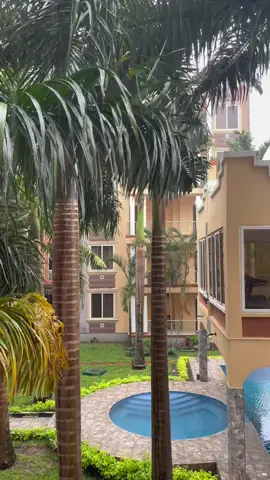 #tropical #rain #relaxingvideos #rainsounds #tanzania #daressalaam #palmtree #rainraingoaway #rainrain  #explore #travel #destination #africa 