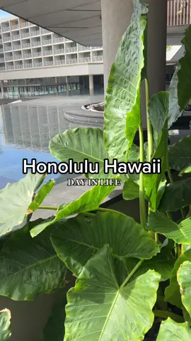 #hawaii #travel #traveltiktok #fyp #foryourpage #goodvibes #dailypost #trending #fun #funtimes 