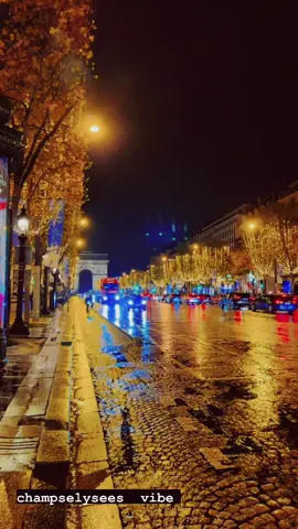 #paris #champelysees #france #night #december #2022 