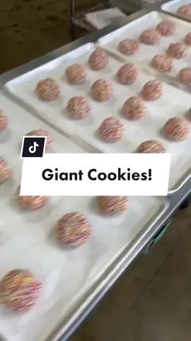 I never thought I’d be able to say my cookies ship nationwide and to CAN 🥹♥️🍪 BluffCakes is my life! #giantcookies #mystory #SmallBusiness 