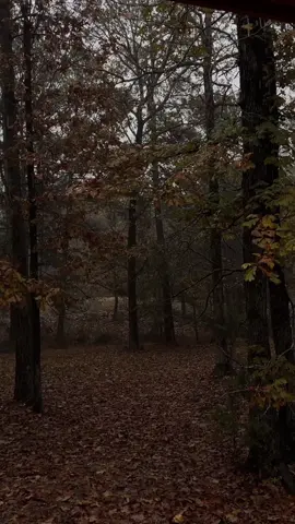 📍 broken bow OK 🌲♥️