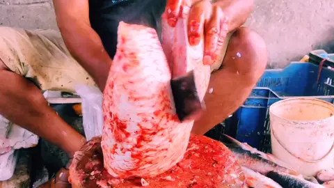 Amazing Big Carp Fish Cutting By Expert Fish Cutter | Fish Cutting Skills #shorts #reels #fish_pre🐟 #fish #fish_cutting_expert #h_fish_cutting #fish_cutting_skills #fish_cutting #reel 