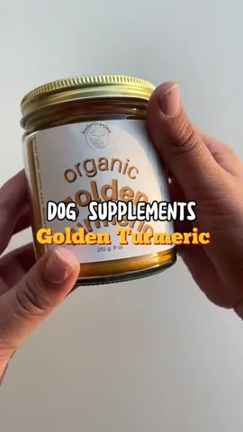 Supplement FAQ: golden turmeric! #dogsupplements #dogfoodie #dogsoftiktok #fyp 