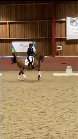 Bringing back this video just one more time (or a few more👀) The best evening of my life with the most special pony❤️‍🩹🕊#dressage #dressagepony #dressagerider #grandprixpony #welshc #welshcob #equestrian #equine #grandprixdressage #youngrider #fyp #foryoupage