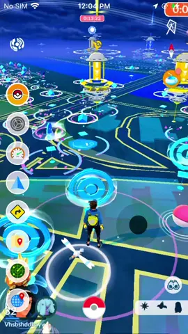 How to use Virtual Go Plus (VGP)