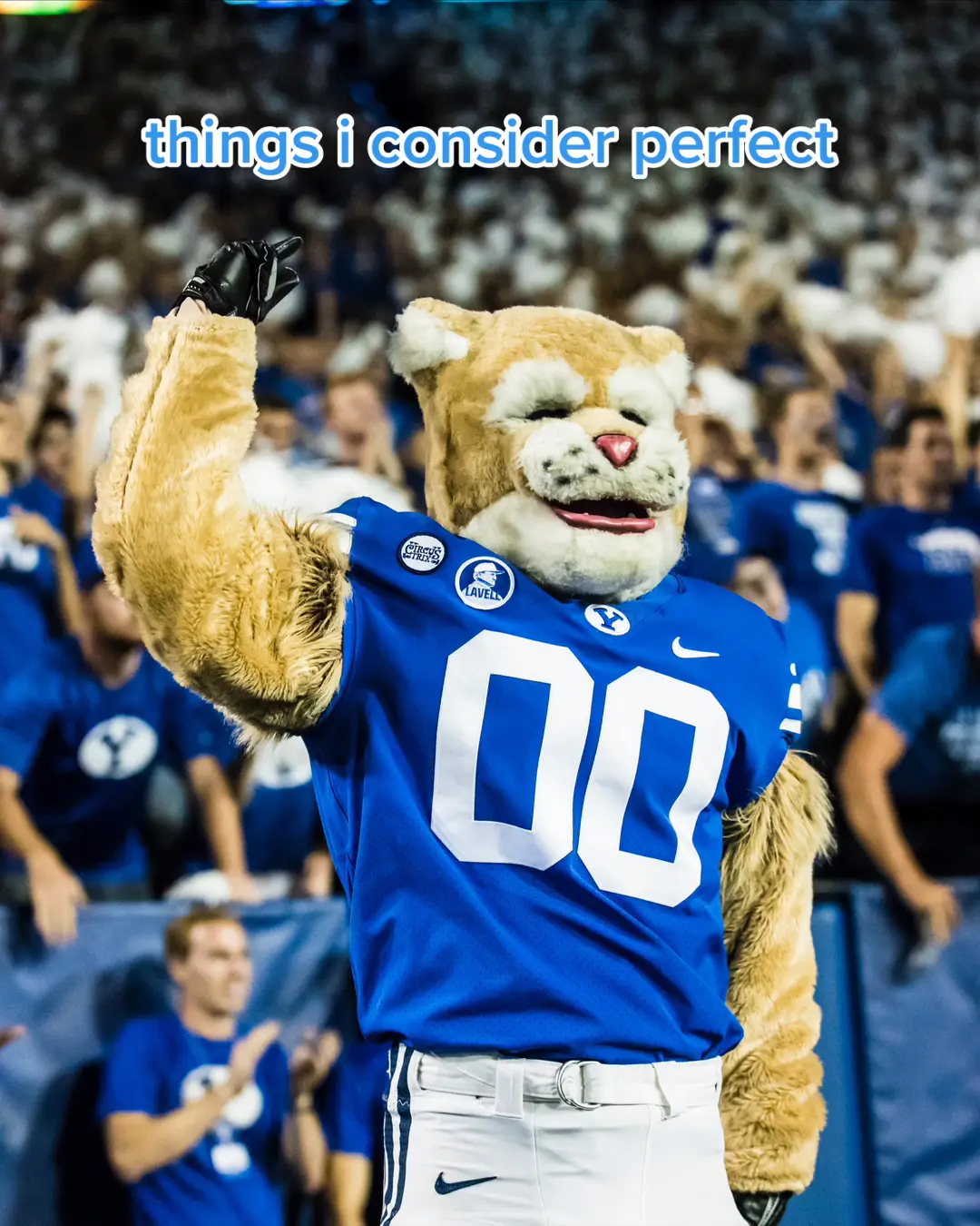 the perfect mascot doesn’t exi— #cosmo #mascot #CollegeFootball 