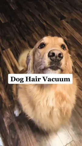 I cannot get over how much dog hair the new Hoover emerge pet vacuum sucked up from this carpet!! It definitely makes dog mom life a whole lot easier. @hoovervacuums 