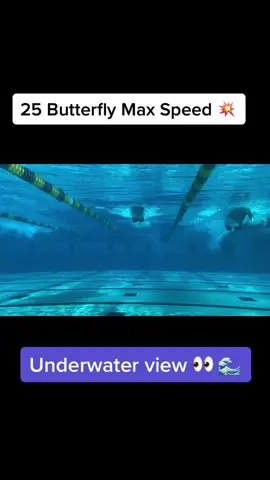 25 Max Speed Butterfly UW ⬇️ 🌊 👀  #swim #swimming #swimmer #swimtok #collegeathlete 