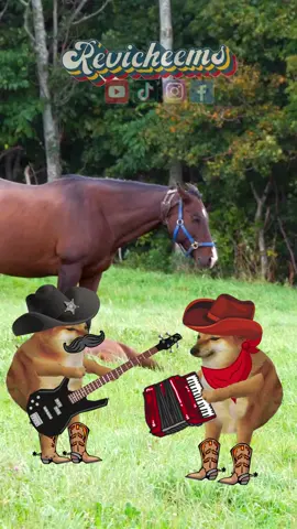 #loscadetesdelinares #dosamigos #cheems #revicheems #funnysong #músicamexicana #cheemsmeme 