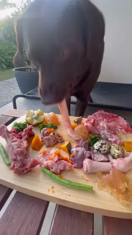 Ingredients in last video! *This post may not depict a balanced raw meal. We are following the BARF model. Organs, bone, muscle, fruits, vegetables, seeds and supplements are balanced throughout the day/week. ⚠️ Bear’s diet is formulated (for him) by a canine nutritionist and approved by our veterinarian. Please do your own research and consult with your vet/canine nutritionist before altering your dog’s diet. #rawfeeding #rawfeddog #rawfed #rawdogfood #barfdiet #barf #caninenutrition #dogasmr #dogmukbang 