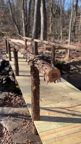 Whats not to love about a new footbridge! @Bartlettarboretumandgardens #heystamford #stamford #Hiking #nature 