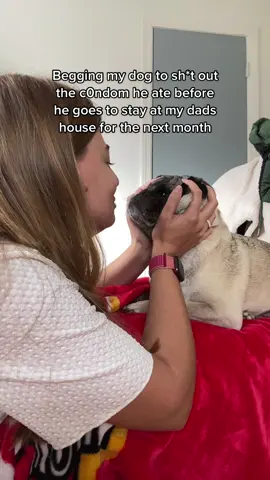 he’s got 3 days to pass it I am in full panic mode #PetsOfTikTok #dogs #pug 