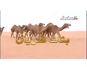 #الطايلات🔥 #علوش_ابن_ناصر 