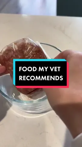 YES! my vet *highly* recommends a raw diet! try feeding fresh with a 10lb trial of Darwin’s raw food — LIB! 🔗 #rawfeeding #rawfeddog #rawdogfood #dogfood #dogtok #dogfoodtok #dogmeal #dogmom #dogmomlife #feedfreshchallenge 