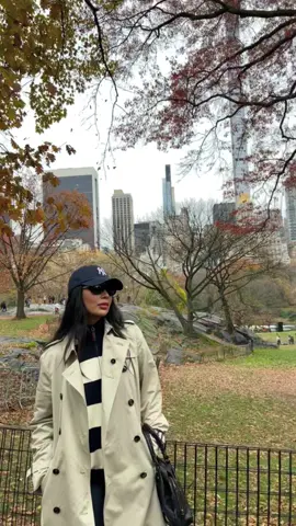 New York Diaries 🗽                                          #newyorkvlog #newyorkaesthetic #NYCfall #autumninnewyork 