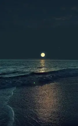 Peaceful 🌊🌕 #Moon #MoonLight #NightSky #SeaShore #ByTheBeach #NightView #fyp #fypage #fypシ #fypシ゚viral 