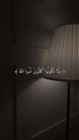 سورة الحشر | القارئ سالم المنصوري 