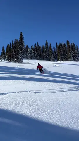 The first turns of the season are just soooo tasty 🤤🤤 @sanderhadley #dynastar #weliveskiing #skiing #skiingtiktok #freeski #freeride #skitok #dynastarskis #skiislife 