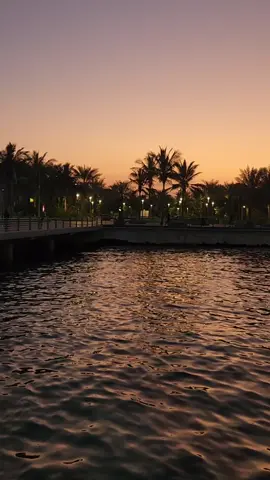كثر كل شيء .. انا احبك ❤️  #محطات_عمري #احبك_كثر_ماهو_يجيبك_لي_النسانس #احبك #fyp #fypシ゚viral #foryou #explor #تصويري #اكسبلورexplore #explore #شيلات 
