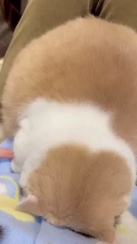 ☺️