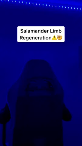 Follow for more #fyp #xyzbca #viral #fypシ #mdmjr 