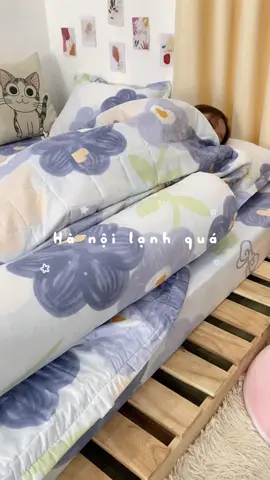 Hà Nội lạnh quá #bedding #changagoidem #chăngagối #xuhuong 