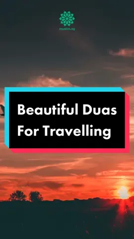 Wishing you a safe and fulfilling trip!🚢🚘🛫 Read ‘10 Important Duas and Prayers for Travelling’ 🔗#linkinbio #muslimtiktok #dua #duafortravelling