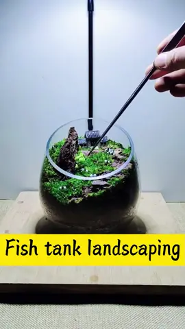 Can we put fishes in this mini fish tank? #aquarium #aquascape #landscape #minifishtank #glasstank #plantsoftiktok #fishtank #tank #aquatic #DIY #diycraft #diyprojects #fyp
