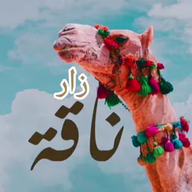 الشعب #الصيني#ماله#حل#زار الباطنه #ناقه موري #سيري يو مطيه #الابو درويش النوبي #الخابوره #صحم #السويق #صحار 